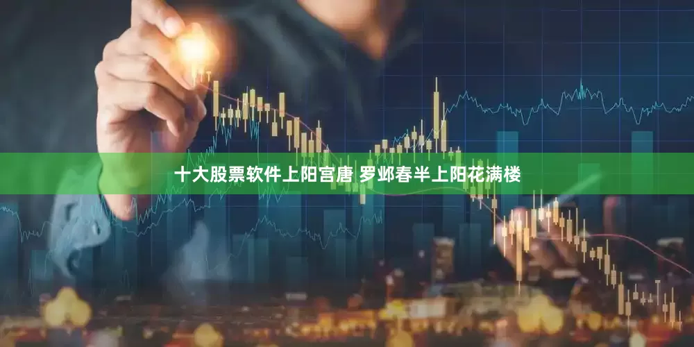 十大股票软件上阳宫唐 罗邺春半上阳花满楼